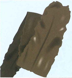 恵命我神散の成分イメージで茶色の3つ折りに折れ曲がった海藻のマコンブです